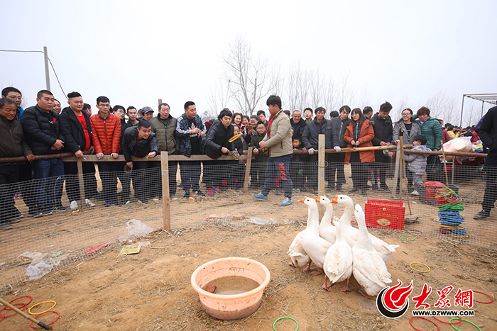 ����Ʒ��