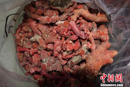 ������2018��ר���ж����ݴ��3����˽�����Ż�