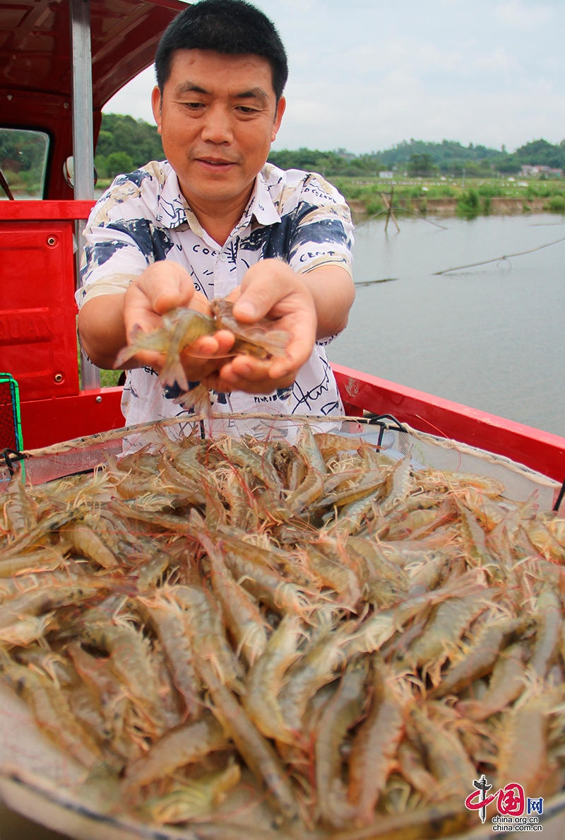 �Թ��д��������Ʒ�ٻ�2024��ȫ����������ũ��Ʒ�ƺ�