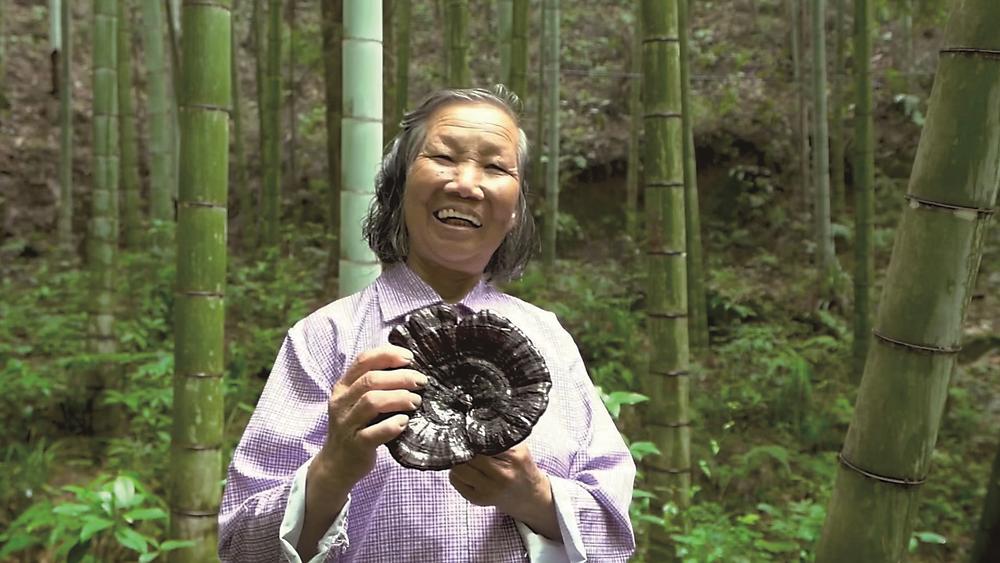 ��չ��ɫ�ִ�ũҵ�����조��ũ��Ʒ��Ʒ��