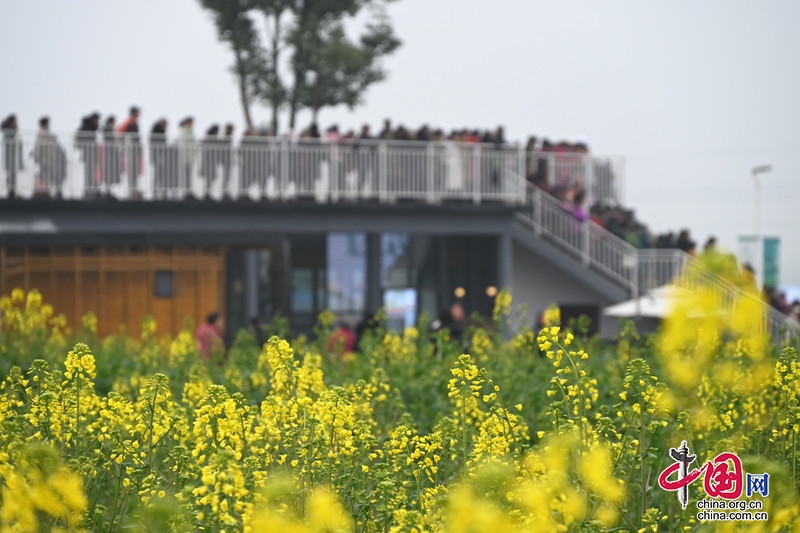 ����Ʒ��