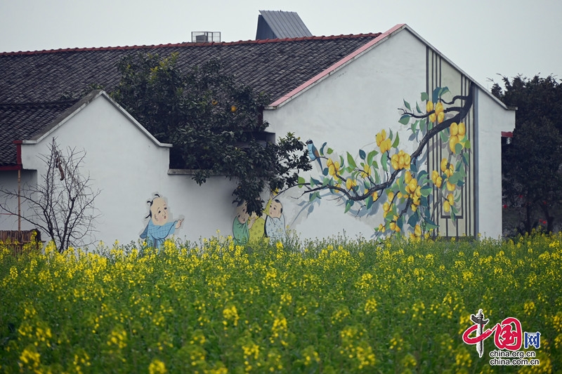 ����Ʒ��