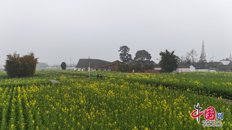 ̤���ͻ���ȥ���������������Ķ�Ͳ˻�ӭ����