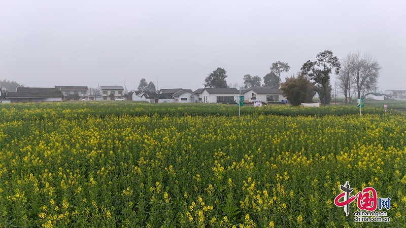 ����Ʒ��