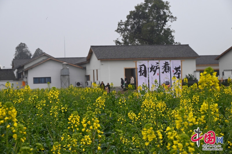 ����Ʒ��