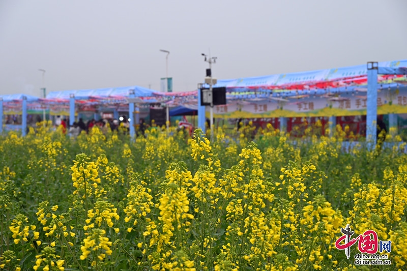 ����Ʒ��