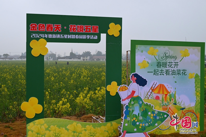 ����Ʒ��