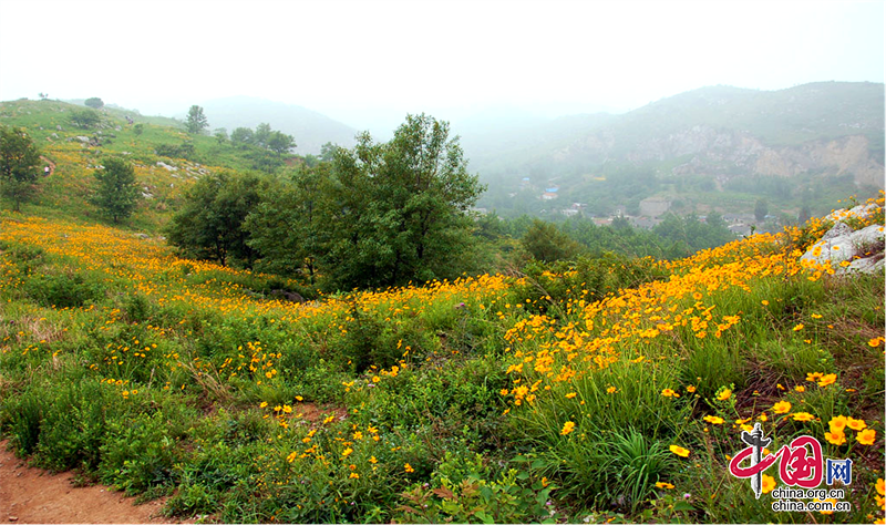 ����Ʒ��