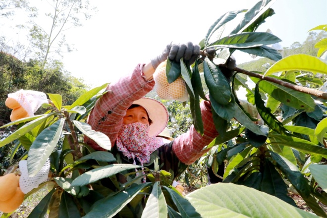 ����Ʒ��