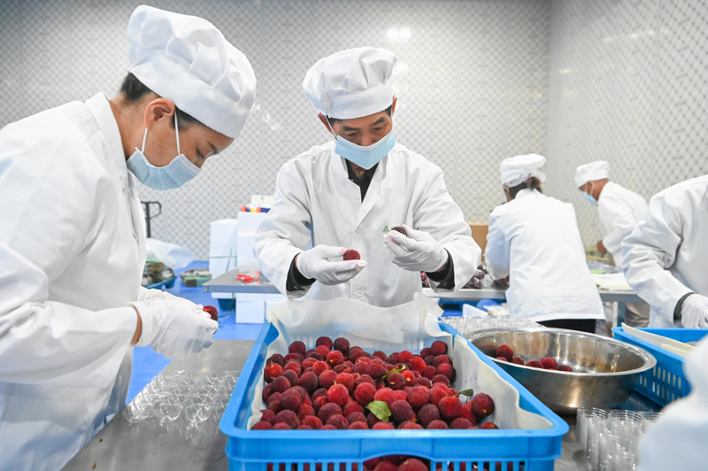 �����ĳɸ�ɽ��÷����������г�