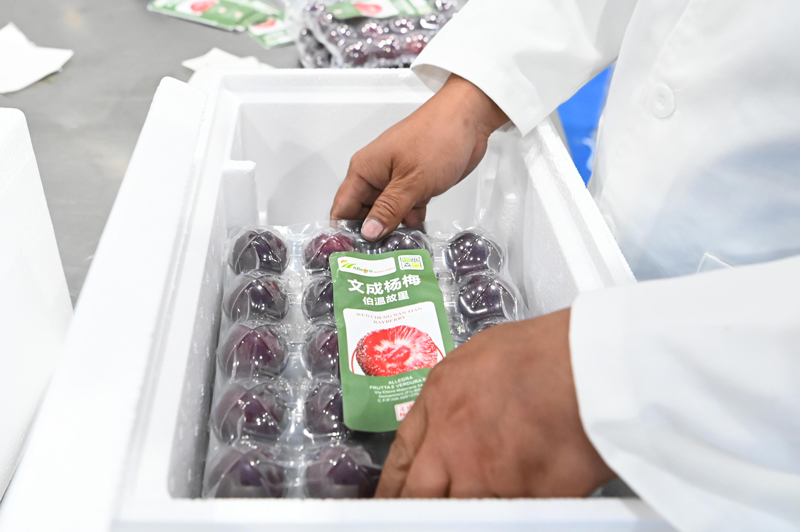 ����Ʒ��