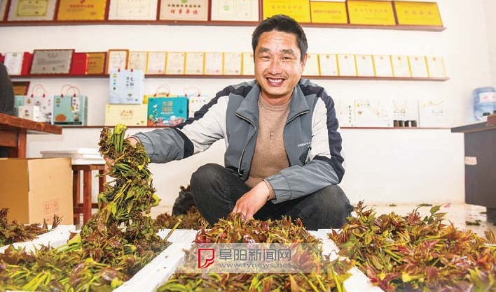 ����Ʒ��