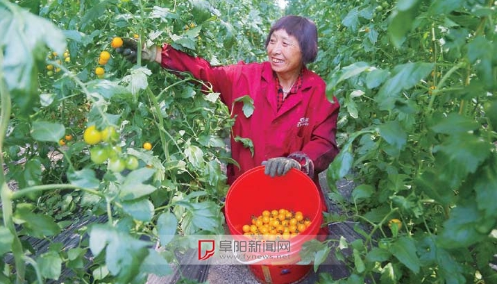 ����Ʒ��