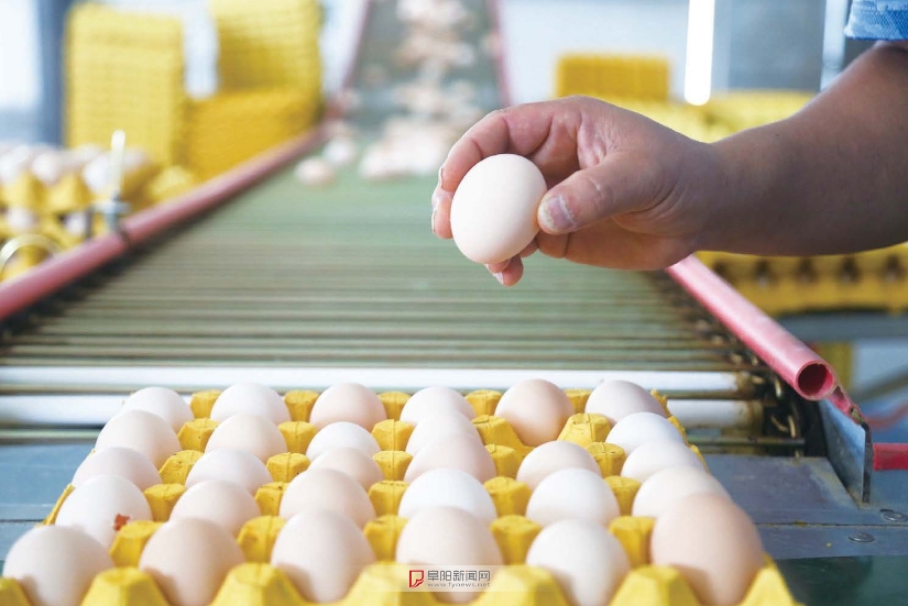 �а�����