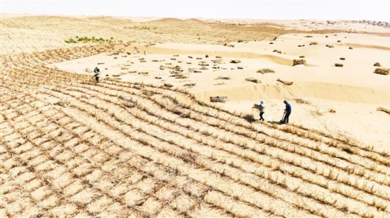 ����Ʒ��