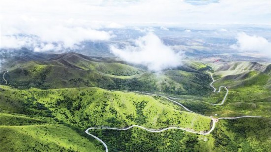 ����Ʒ��