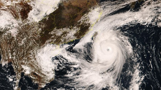 ����Ʒ��