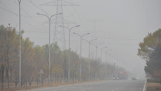 ����Ʒ��