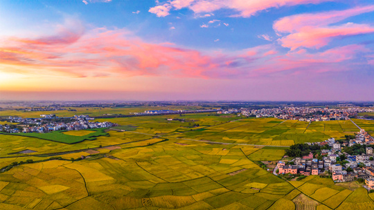 ����Ʒ��