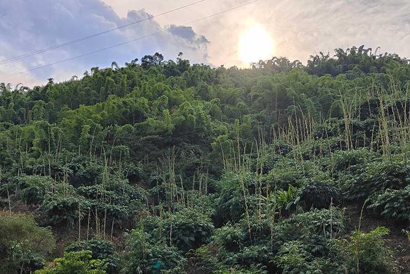 ��ɽ׳������Ʒ��