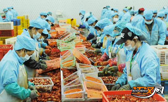 ����Ʒ��