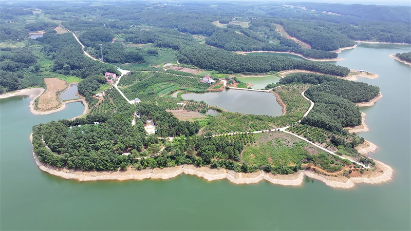 ����Ʒ��